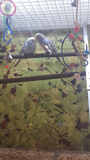 Pet Supply Store «PetSmart», reviews and photos, 1559 Merritt Blvd, Dundalk, MD 21222, USA