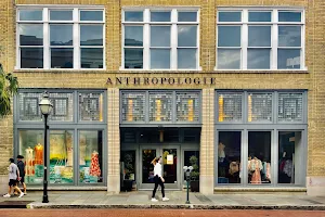 Anthropologie image