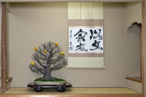 Shunkaen Bonsai Museum image