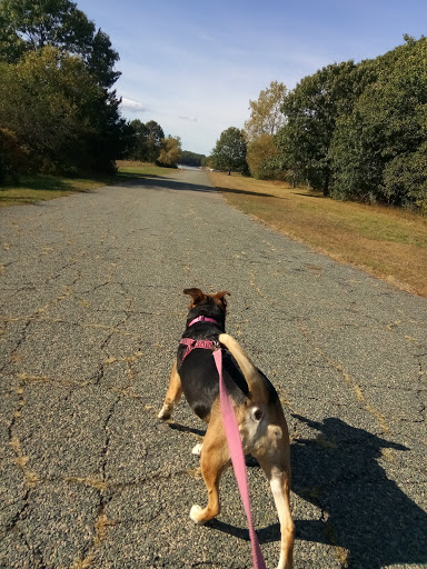 Park «Bare Cove Park», reviews and photos, Bare Cove Park Dr & Fort Hill St, Hingham, MA 02043, USA