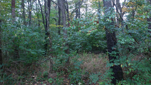 Historical Landmark «Mississinewa 1812», reviews and photos, 6000 N 300 W27, La Fontaine, La Fontaine, IN 46940, USA