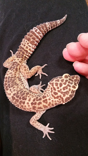 Pet Store «Olathe Pet Shop», reviews and photos, 16651 151st St, Olathe, KS 66062, USA