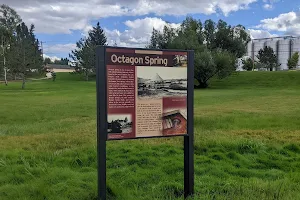 Octagon Springs Park image