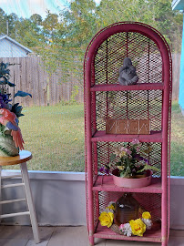 Marcelly's - Yoga & Dance Home Studio - Photo 3 - Car repair in Palm Bay, FL, Palm Bay