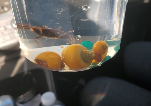 Pet Store «Feed-Rite Pet Supply», reviews and photos, 2979 Fort St, Lincoln Park, MI 48146, USA