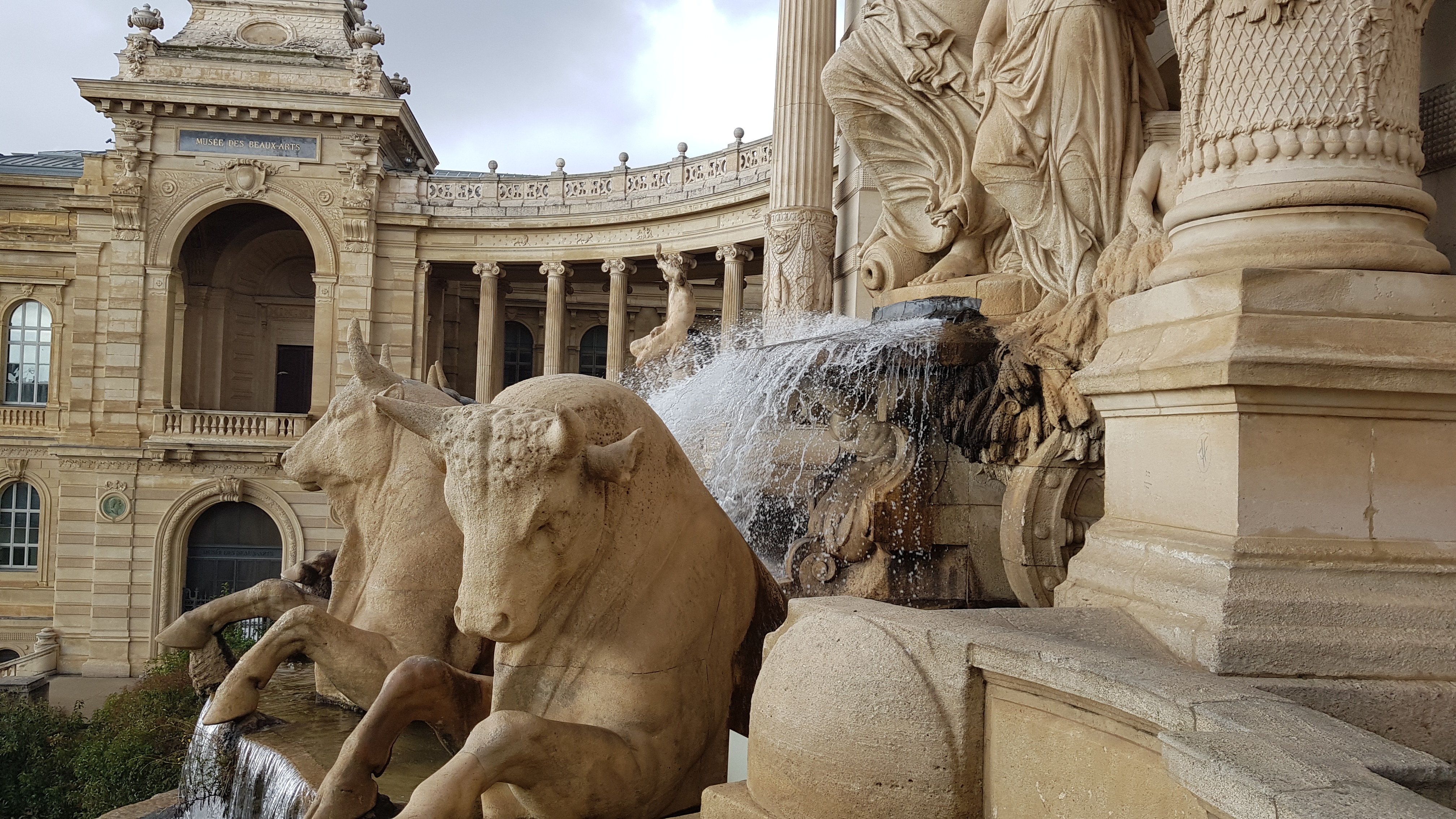 Photo n° 22 de l'avis de Raz-Dar. fait le 15/02/2022 à 07:28