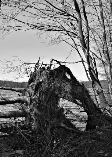 Nature Preserve «Franklin Lakes Nature Preserve», reviews and photos, 1 Nature Preserve Way, Franklin Lakes, NJ 07417, USA