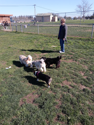 Dog Park «Phoenix Dog Park», reviews and photos, 9050 Sunset Ave, Fair Oaks, CA 95628, USA