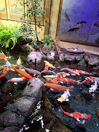 Aquarium de Paris du Restaurant japonais Hanami Paris - n°1
