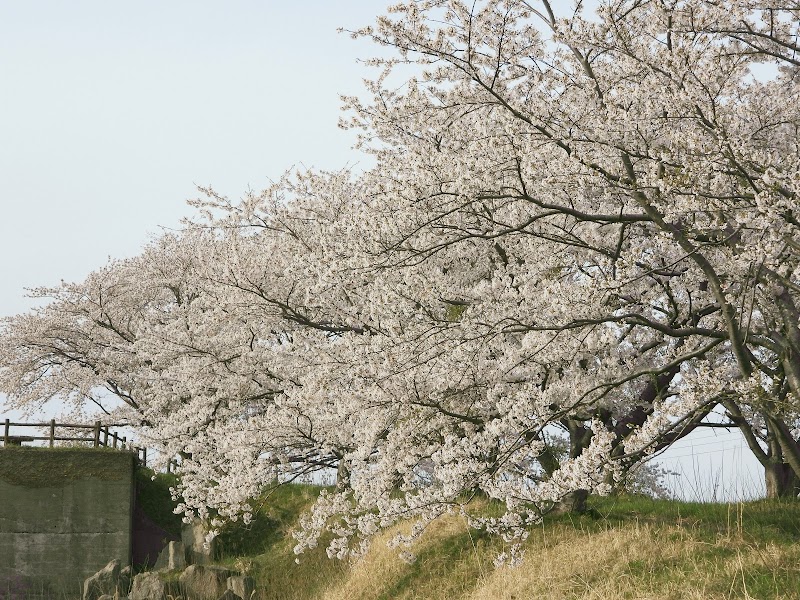 天瀬川三倉鼻公園