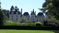 Château de Cheverny du Restaurant Orangerie du Château de Cheverny - n°15