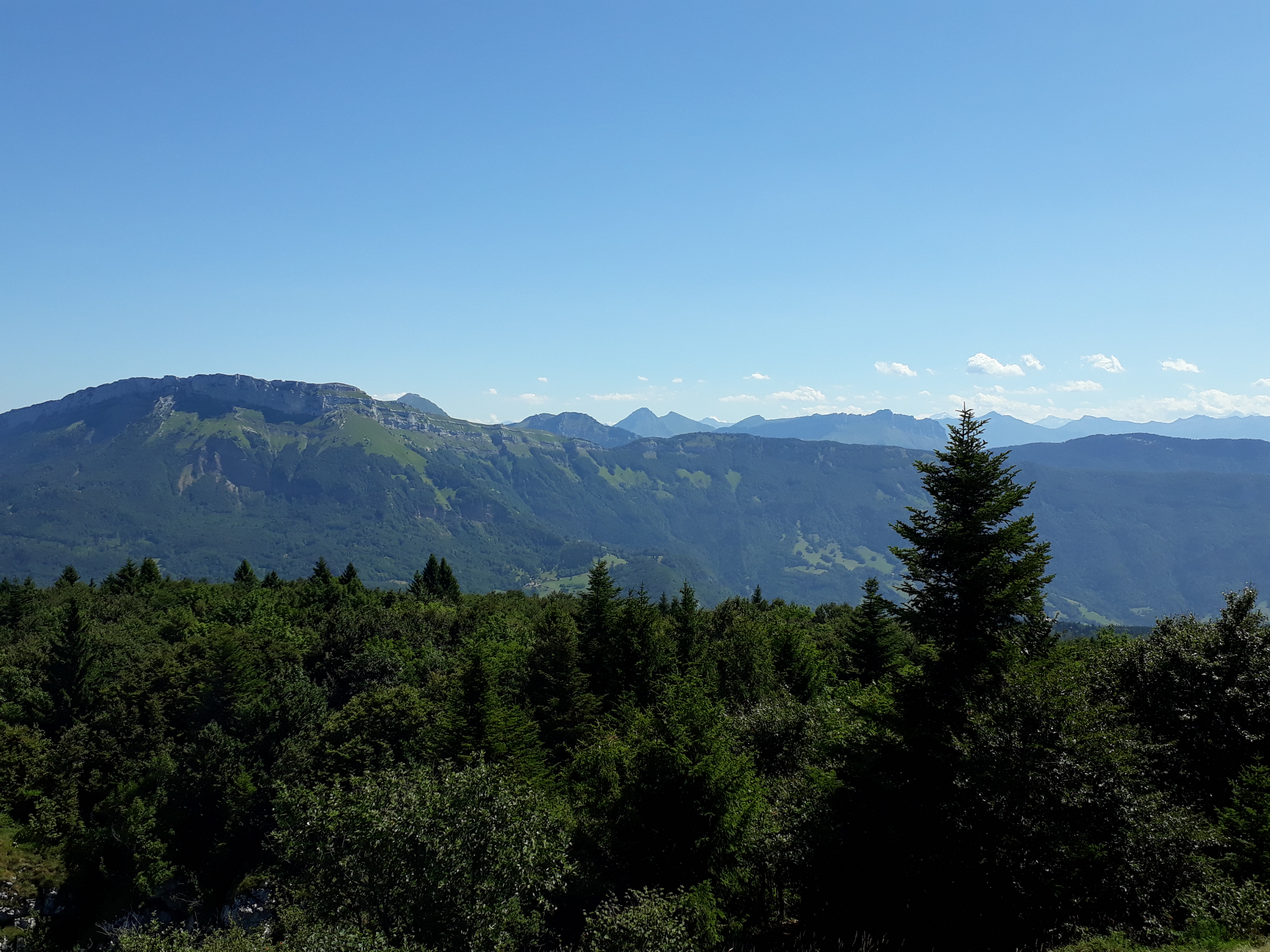 Photo n° 1 de l'avis de Stephane.a fait le 30/08/2019 à 03:58