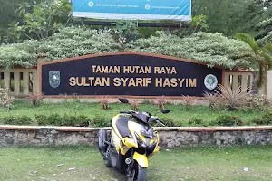 Forest Park Sultan Syarif Hasyim image