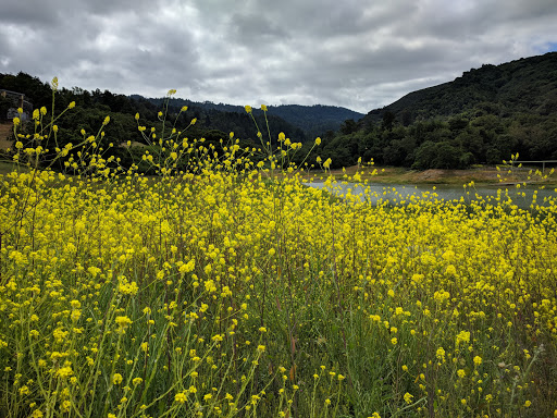 Lexington Reservoir County Park image