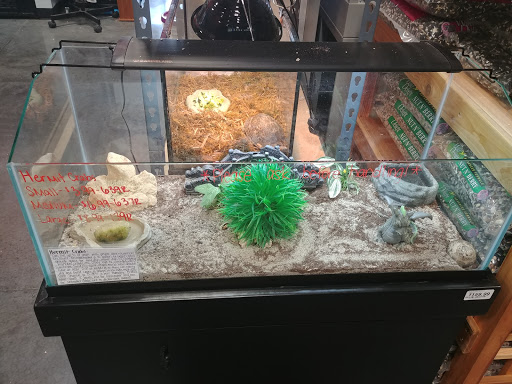 Pet Groomer «We Lov Pets», reviews and photos, 3853 Northpointe Dr, Zanesville, OH 43701, USA