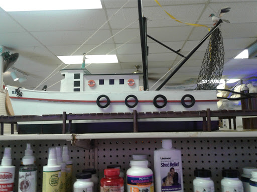 Pet Store «Forever Pets Inc», reviews and photos, 1030 Basse Rd, San Antonio, TX 78212, USA