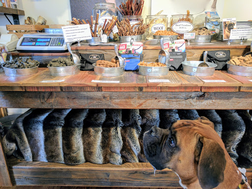 Pet Supply Store «Diggidy Dog», reviews and photos, Ocean Ave & Monte Verde St, Carmel-By-The-Sea, CA 93923, USA