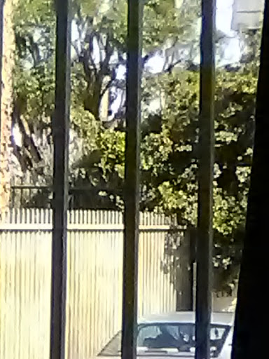 Cell Phone Store «AT&T Authorized Retailer», reviews and photos, 23639 Calabasas Rd, Calabasas, CA 91302, USA