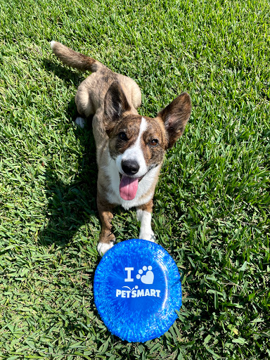 Pet Supply Store «PetSmart», reviews and photos, 11331 Causeway Blvd, Brandon, FL 33511, USA