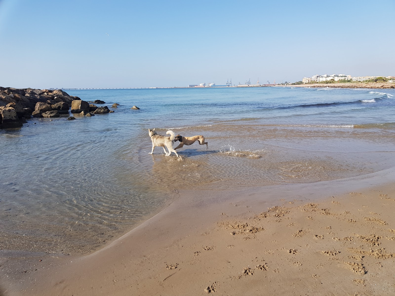 Valokuva Playa de Canetista. puhtaustasolla keskipitkä