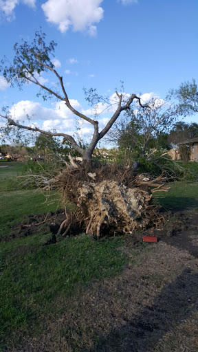 Golf Club «Northern Hills Golf Club», reviews and photos, 13202 Scarsdale, San Antonio, TX 78217, USA