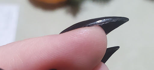 Nail Salon «Boutique Nails», reviews and photos, 9945 Trinity Blvd, New Port Richey, FL 34655, USA