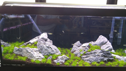 Pet Store «Animal Ark Pet Stores», reviews and photos, 33 Center St, Orem, UT 84057, USA