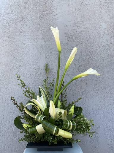 Florist «Brunettos», reviews and photos, 6227 Santa Teresa Blvd, San Jose, CA 95119, USA