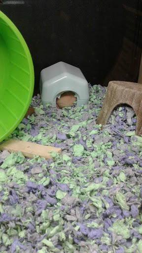 Pet Supply Store «PetSmart», reviews and photos, 901 US-1, North Brunswick Township, NJ 08902, USA