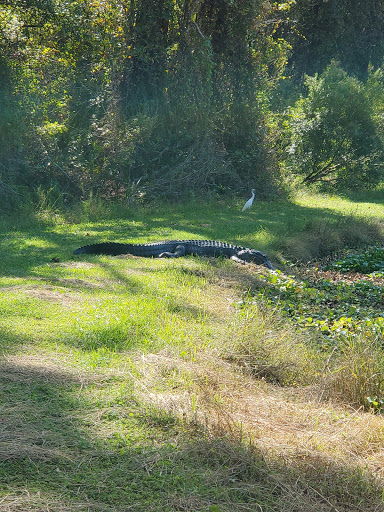 Golf Club «River Ridge Golf Club», reviews and photos, 11022 Tee Time Cir, New Port Richey, FL 34654, USA