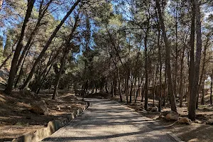 El Morlaco Park image