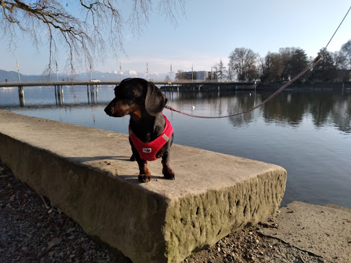 Tierarztpraxis Barbara Zaltenbach-Hanßler unter Lindau, Bayern