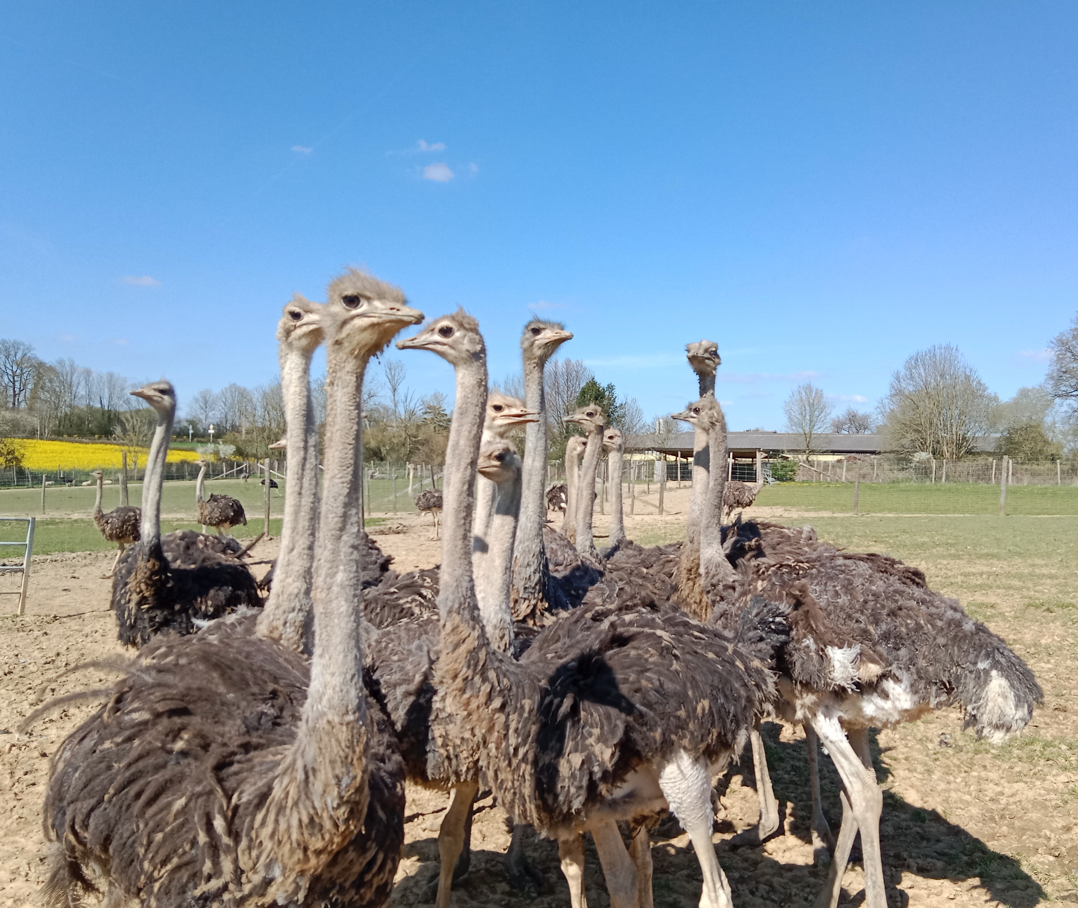 Photo n° 1 de l'avis de gil.o fait le 09/04/2023 à 08:07