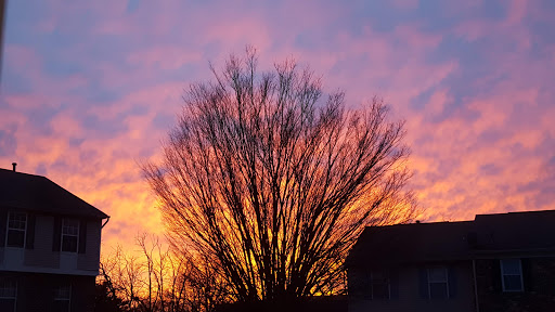 Shopping Mall «Vista Shopping Center», reviews and photos, 1080 W Patrick St, Frederick, MD 21703, USA