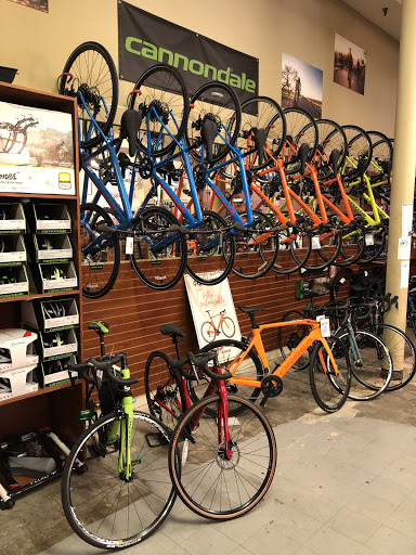 Outdoor Sports Store «Flint Creek Outfitters», reviews and photos, 4414 SW College Rd #910, Ocala, FL 34474, USA