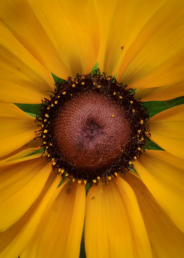 Home Improvement Store «The Home Depot», reviews and photos, 4949 NW Old Pike Rd, Gladstone, MO 64118, USA