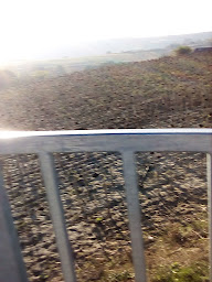 Photo n°4 de LA CUISINE À DOMICILE à Lautrec ()