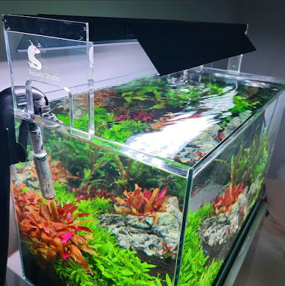 AquariumCO2