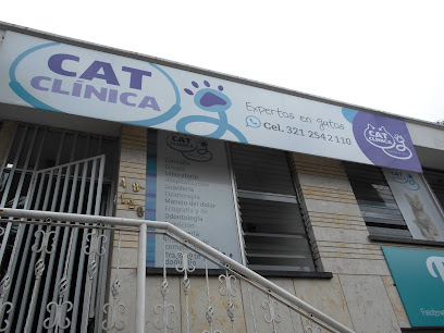 | Clinica Veterinaria Pereira | Cat Clinica