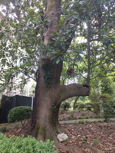 Tourist Attraction «McRaven Tour Home», reviews and photos, 1445 Harrison St, Vicksburg, MS 39180, USA