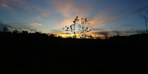 Nature Preserve «Jackson Bog State Nature Preserve», reviews and photos, 7984 Fulton Dr NW, Massillon, OH 44646, USA