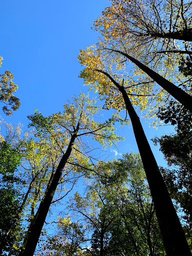 Park «Christopher Morley Park», reviews and photos, 500 Searingtown Rd N, Roslyn, NY 11576, USA