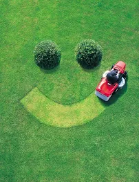 Classic Lawn & Tree - Car repair in Maryville, TN, Knoxville - Rated 4.6/5