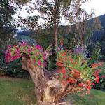 Photo n°1 de l'avis de alessandro.e fait le 28/08/2022 à 16:37 sur le  Hotel Gudrun à Gossensass-Colle Isarco