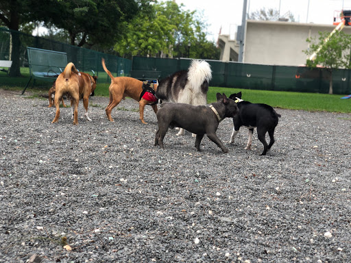 Park «Flamingo Park», reviews and photos, 1200 Meridian Ave, Miami Beach, FL 33139, USA