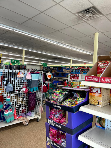 Dollar Store «Dollar Tree», reviews and photos, 1001 W County Line Rd, Hatboro, PA 19040, USA