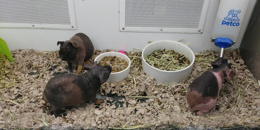 Pet Supply Store «Petco», reviews and photos, 3434 Court St, Pekin, IL 61554, USA