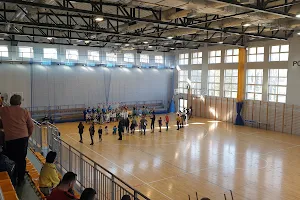 Powiatowa Hala Sportowa przy II Liceum Ogólnokształcącym im. Królowej Jadwigi w Pabianicach image