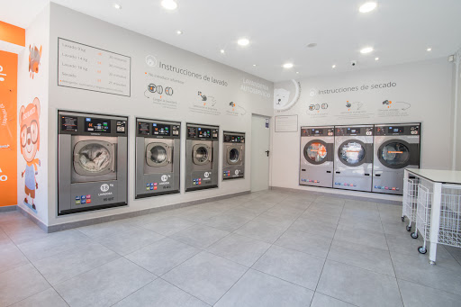 Lavandería Autoservicio Oso Blanco