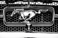 Fremont Foreign Auto Repair Shop - Photo 4 - Car repair in Fremont, CA, Fremont